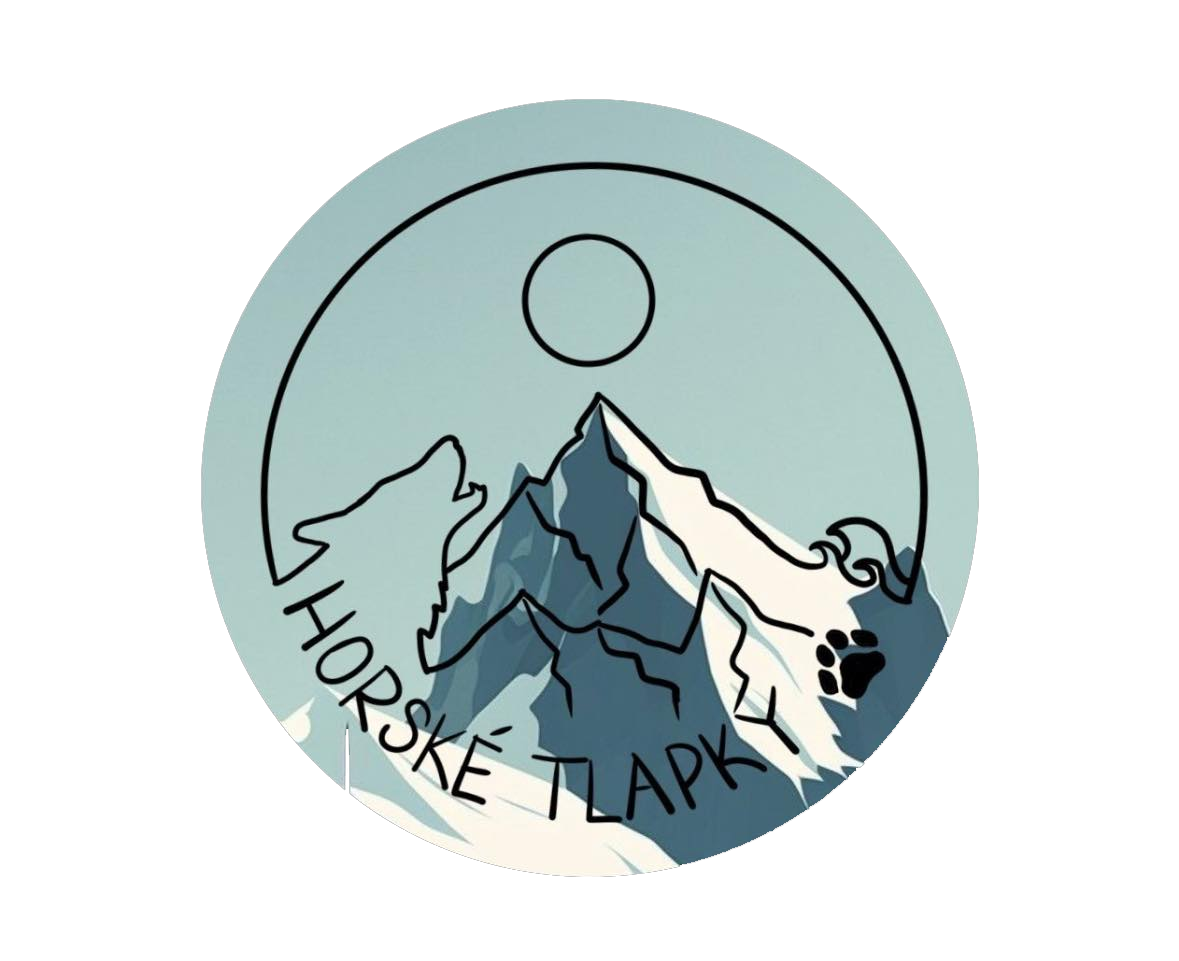 Tipy na výlety se psy